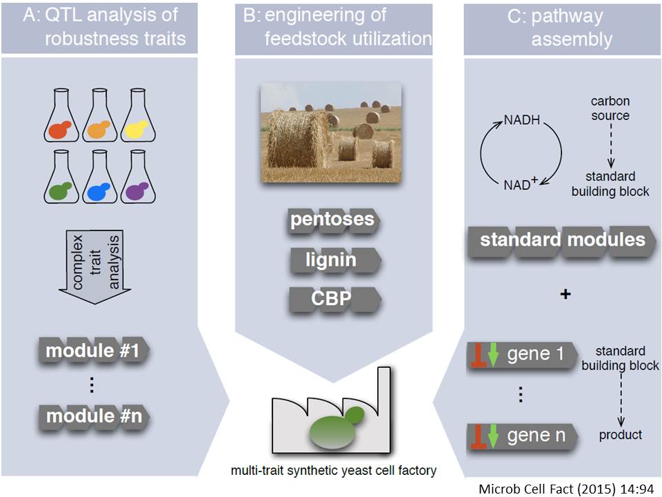 Cell factories