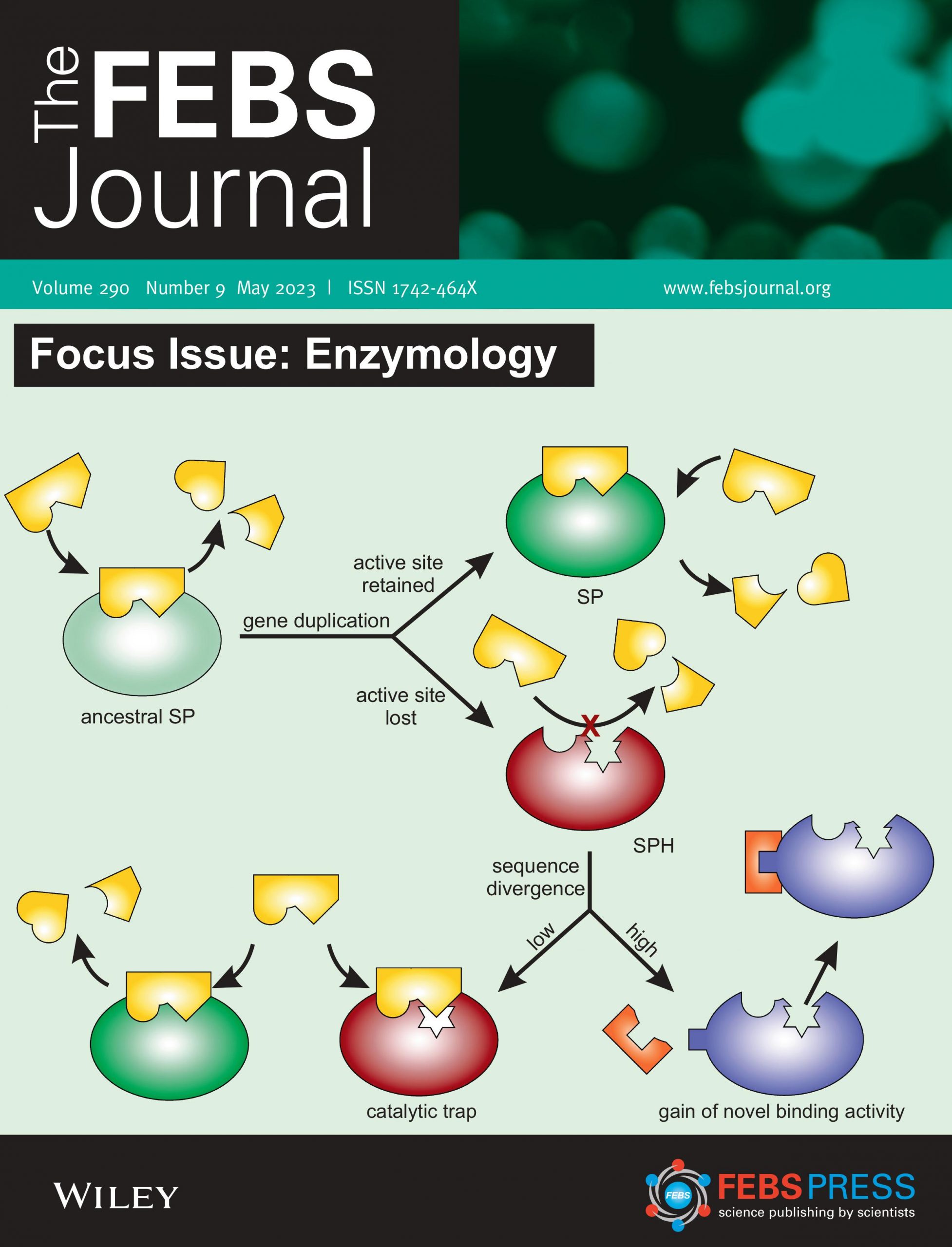 FEBS Journal - cover-1