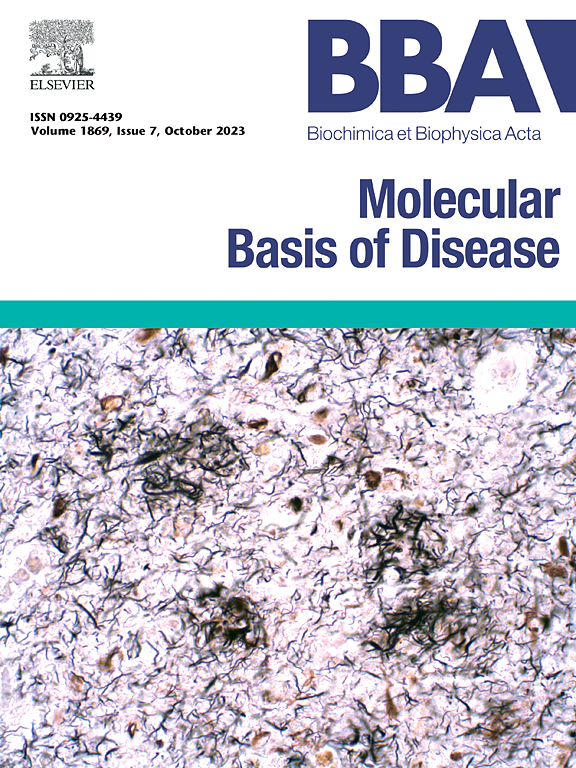 BBA-MBD cover